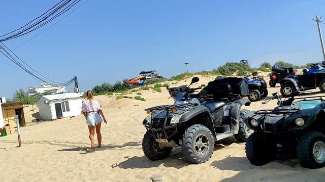 Крокодильчик позирует смотреть онлайн