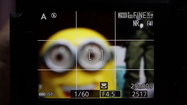 Nikon COOLPIX P1000 AF смотреть онлайн