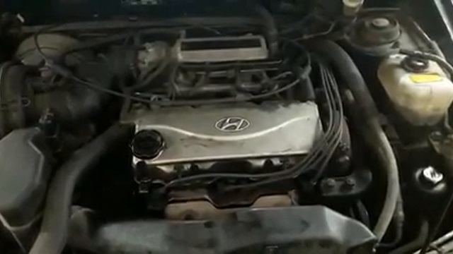 VID 20170510 WA0011 смотреть онлайн