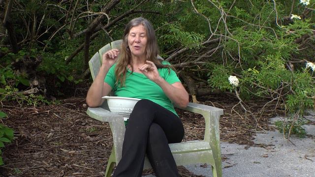 Urban Homesteading - A Look At Cynthia Schaefer's Urban Homestead