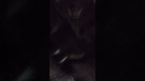 замена антифриза Хендай соната EF мотор 2.7