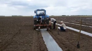 пленка укладчик дороботан под капель