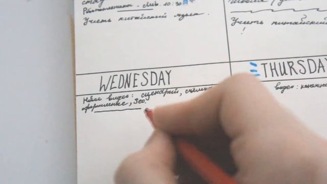 ♡ Мой Ежедневник // My Diary