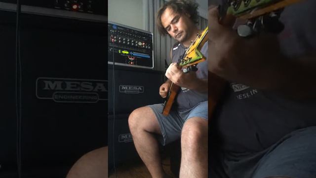 Washburn Dime Slime Rare 333 sound with Mesa Rectifier & ADA Mp2 Preamps L500XL SH13 смотреть онлайн