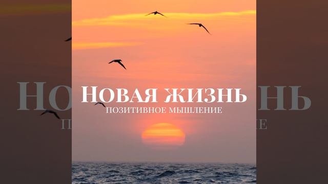 Дзен медитация смотреть онлайн