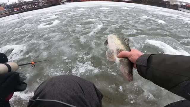 КАК ЛОВИТЬ НА ВИБЫ, ОСНАЩЕНИЕ УДОЧКИ ДЛЯ ЛОВЛИ СУДАКА, ЛОВЛЯ СУДАКА НА ВИБЫ В ДЕКАБРЕ 2022