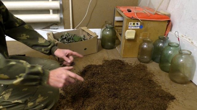 Табаководство: Ферментация табака + яблоня и вишня. смотреть онлайн