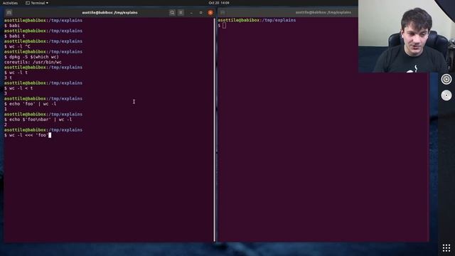 bash: multiple lines to stdin with heredocs (beginner - intermediate) anthony explains #127 смотреть онлайн