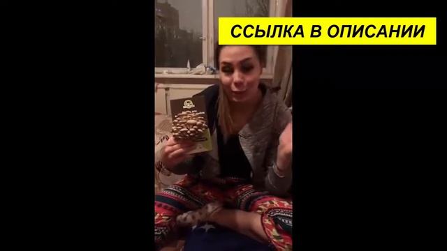 Грибные коллекционные предметы