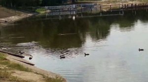 Луганск. Отдых и рыбалка на Луганском море.//Luhansk. Recreation and fishing on the Lugansk Sea.//