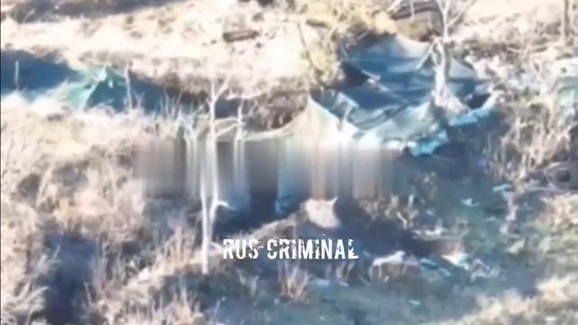 Всушник плохо кончил смотреть онлайн