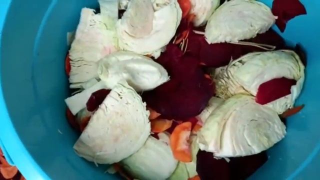 СОЛЮ 100 КГ КАПУСТЫ‼️ ПИКУЛИ‼️ЗАКАЗ КЛИЕНТА‼️100kg Cabbage SALAD.  ￼