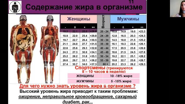 Код Стройности (20 сентября) Вводное занятие смотреть онлайн