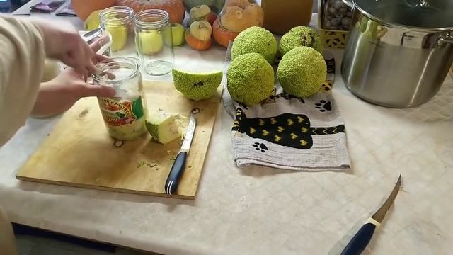 МАКЛЮРА ВЕЛИКАЯ! МАЗЬ ИЗ МАКЛЮРЫ САМОДЕЛЬНАЯ