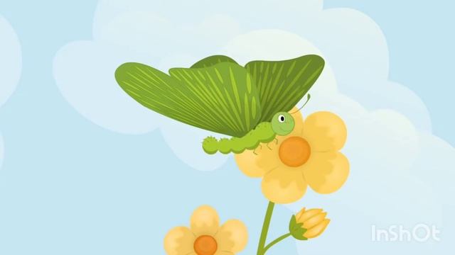 Рисование бабочки поэтапно. 1 класс смотреть онлайн