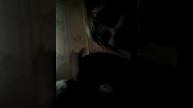 Описание. Животных смотреть онлайн