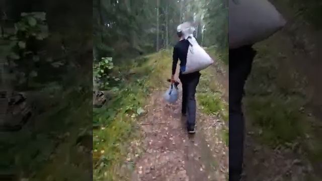 Россоны смотреть онлайн