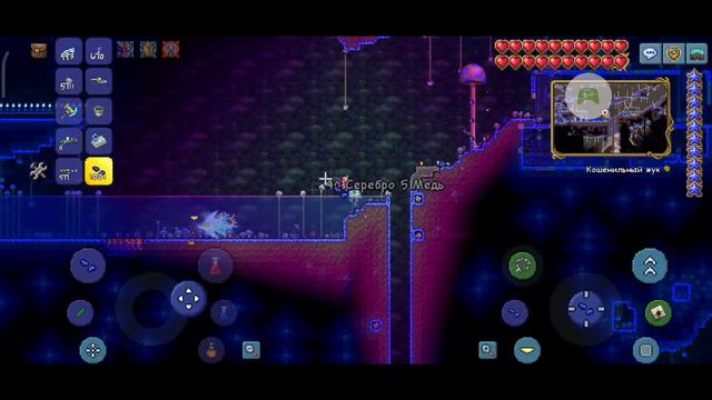 Террария как призвать трюфеля гайд. смотреть онлайн