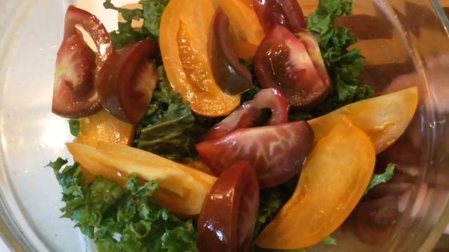 Животные в Зоопарках