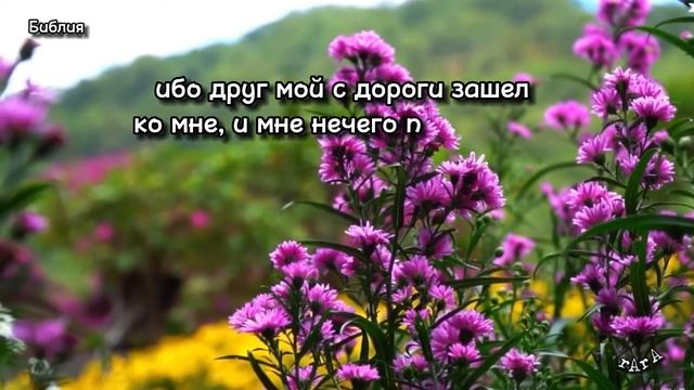 Евангелия от Луки 11:1-10 смотреть онлайн