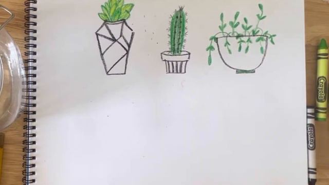 We draw a cactus together with the children. Drawing is simple. #baby #draw #drawing #cactus #kids смотреть онлайн