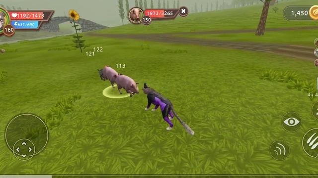 Играю с новым петом "цербером" в wild craft смотреть онлайн