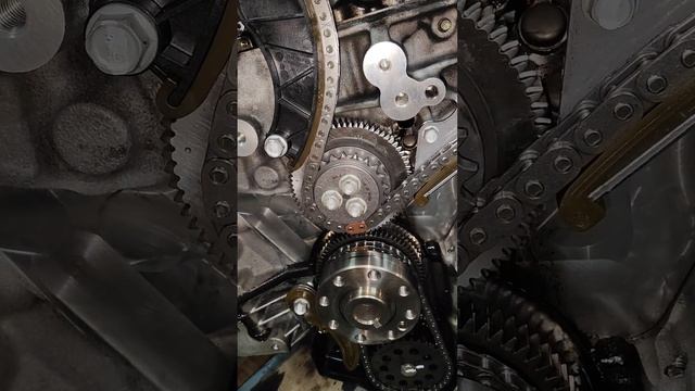 Замена цепи ГРМ и цепи привода масляного насоса. Метки ГРМ Opel Zafira C, мотор B16DTH. смотреть онлайн