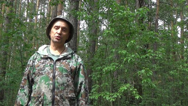 Мысль о законе об оружии. смотреть онлайн