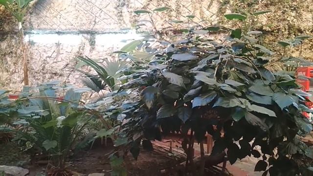 Сочи. Водопад в аквариум. смотреть онлайн
