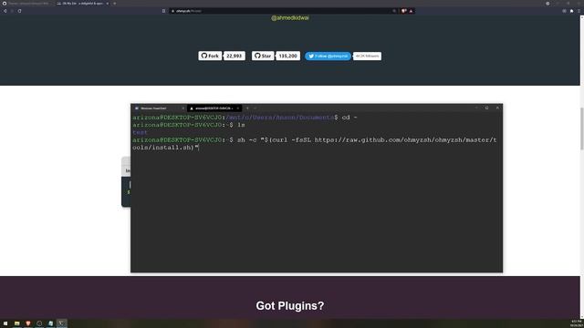 Customize Windows Terminal With ZSH + Oh My ZSH On WSL 2