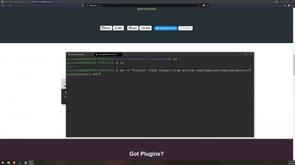 Customize Windows Terminal with ZSH + Oh My ZSH on WSL 2