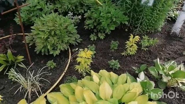 МОИ ПОСЛЕДНИЕ ДНИ В РОССИИ. КАК ОТДОХНУТЬ НА АЛТАЕ БЮДЖЕТНО РОССИЙСКИМ ПЕНСИОНЕРАМ? смотреть онлайн