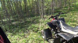Казума Falcon 250.