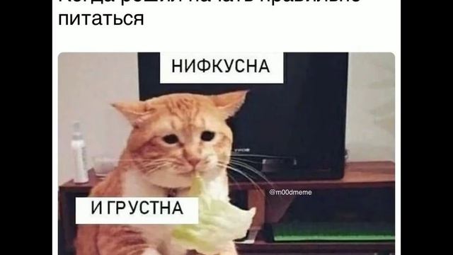 Мемы с Шреком (ГРУСТНЫЕ МЕМЫ) смотреть онлайн