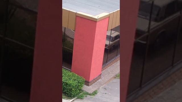 Смотреть всем!!!Гламур рубит деревья у всех на виду.Сумы2016 06 08 смотреть онлайн