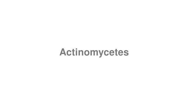 How to Pronounce "Actinomycetes" смотреть онлайн