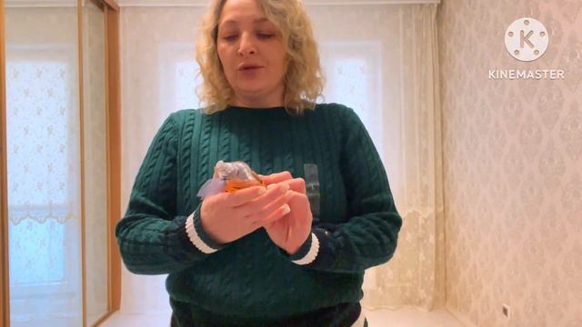 СНАЧАЛА СДЕЛАЛА - ПОТОМ ПОДУМАЛА. ХОРОШО, ЧТО ТАК ОБОШЛОСЬ. ТОГДА ПОВТОРЮ. смотреть онлайн