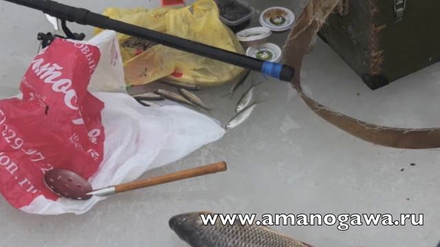 Рыбалка на Пахре. Клуб Аманогава 23 февраля 2014 смотреть онлайн