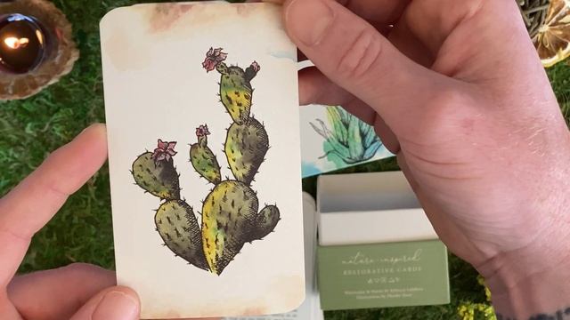 Flora Healing Cards | Oracle Deck Flip Through + Unboxing - Avec La Vie : Herbs, Flowers, Hedgewitc смотреть онлайн
