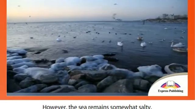7 EXCEL Module 3 Video 6 A Lake or A Sea смотреть онлайн
