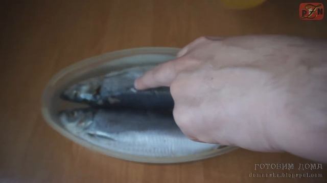 Соленая Селедка по БЫСТРОМУ?♨?? смотреть онлайн