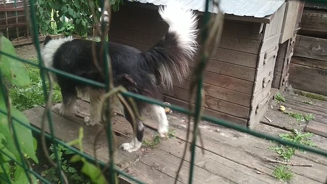 VID_20230723_112704.mp4 смотреть онлайн