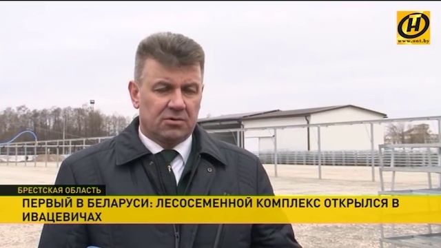 В Ивацевичах будут выращивать саженцы деревьев круглый год смотреть онлайн