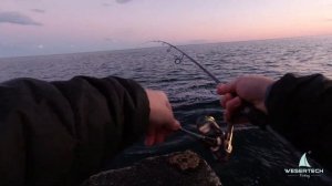 Скорпена на пилькер Ставрида на пилькер Ставрида на самодур  Ставрида как ловить Снасть на скорпену