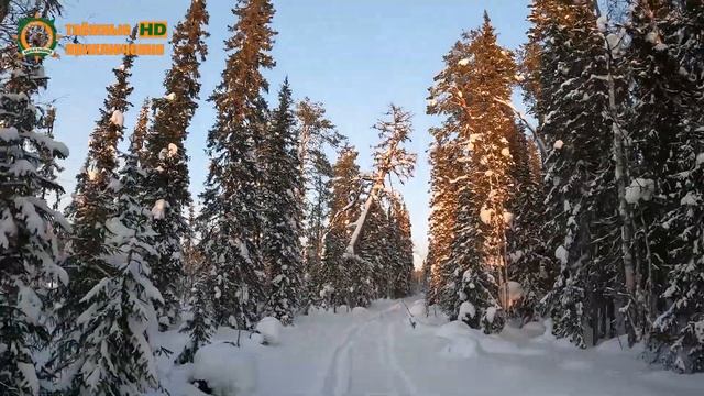 Таёжная экспедиция/Без приключений как без пряников/Часть 1 смотреть онлайн
