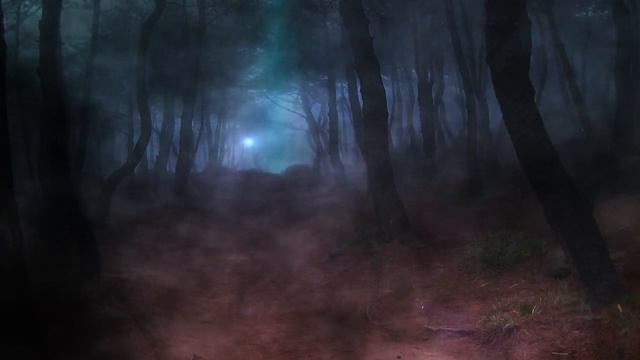 Dark Forest DreamScene смотреть онлайн