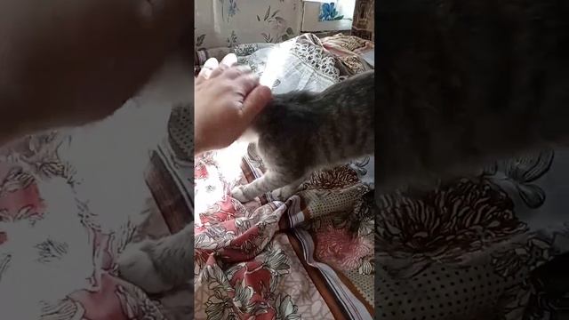 Наш отпуск в Вологодской области.