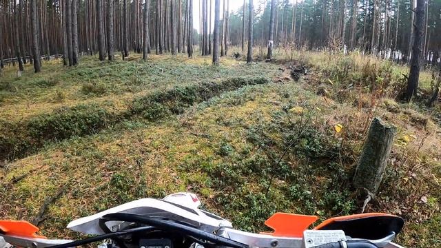 Тренировка в лесу - первые попытки | BSE Z5 смотреть онлайн