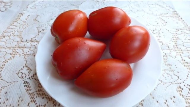 Урожайные сорта томатов в разрезе. Делаем выводы.( 1 часть) смотреть онлайн