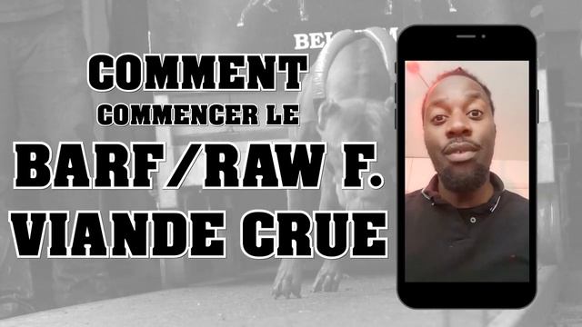 Les Os de poulet sont ils dangereux ?! Commencer le BARF ? Viande Crue ? (sub.titles MULTI) смотреть онлайн